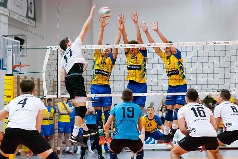 STS Olimpia Sulęcin Sponsoring MCG Logistics
